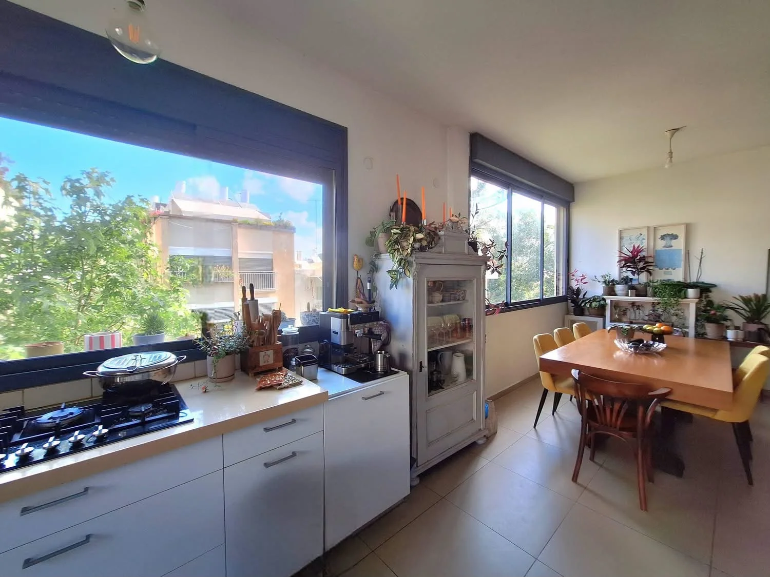 Cuisine ouverte lumineuse avec vue sur les arbres