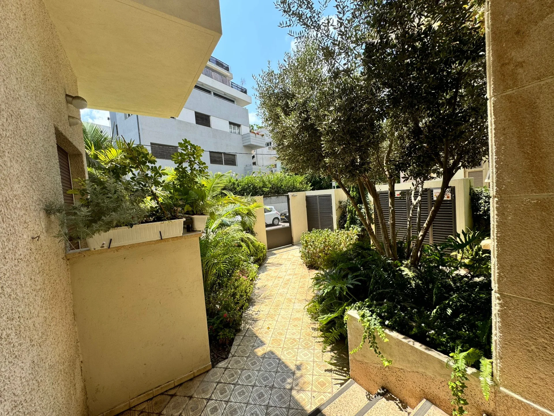Entrée de l'immeuble avec jardinet et olivier